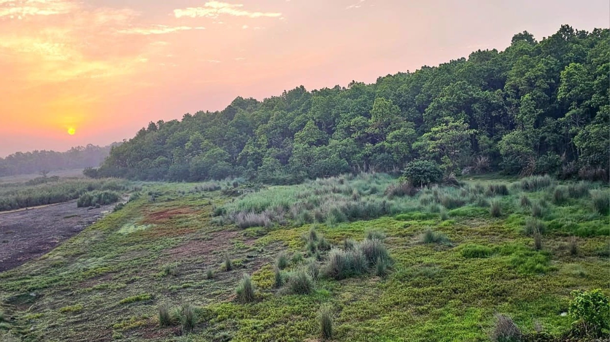 यूपी के 28 जिलों में हरियाली का दायरा घटा, मंत्रालय की एक रिपोर्ट ने अफसरों की नींद उड़ाई