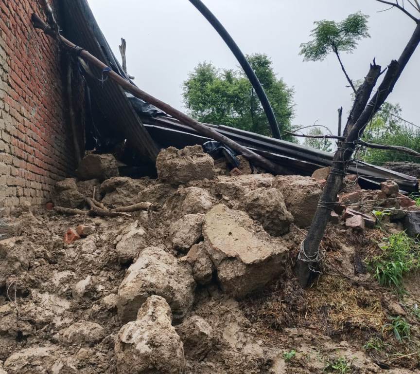Bareilly News : बारिश का कहर: मीरगंज में पशुशाला की कच्ची दीवार गिरी, मलबे में दबकर गाय की मौत  