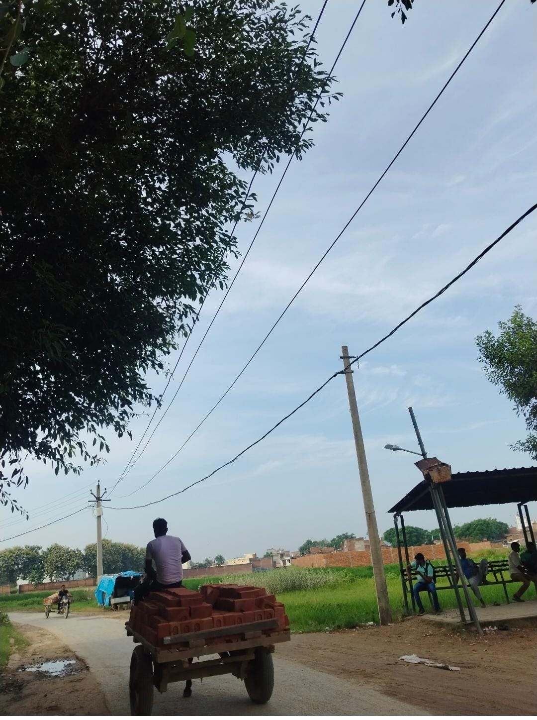 Kasganj  news बिना सेफ्टी कवर के 11 हजार लाइन के जर्जर तारों से हो सकता है बड़ा हादसा