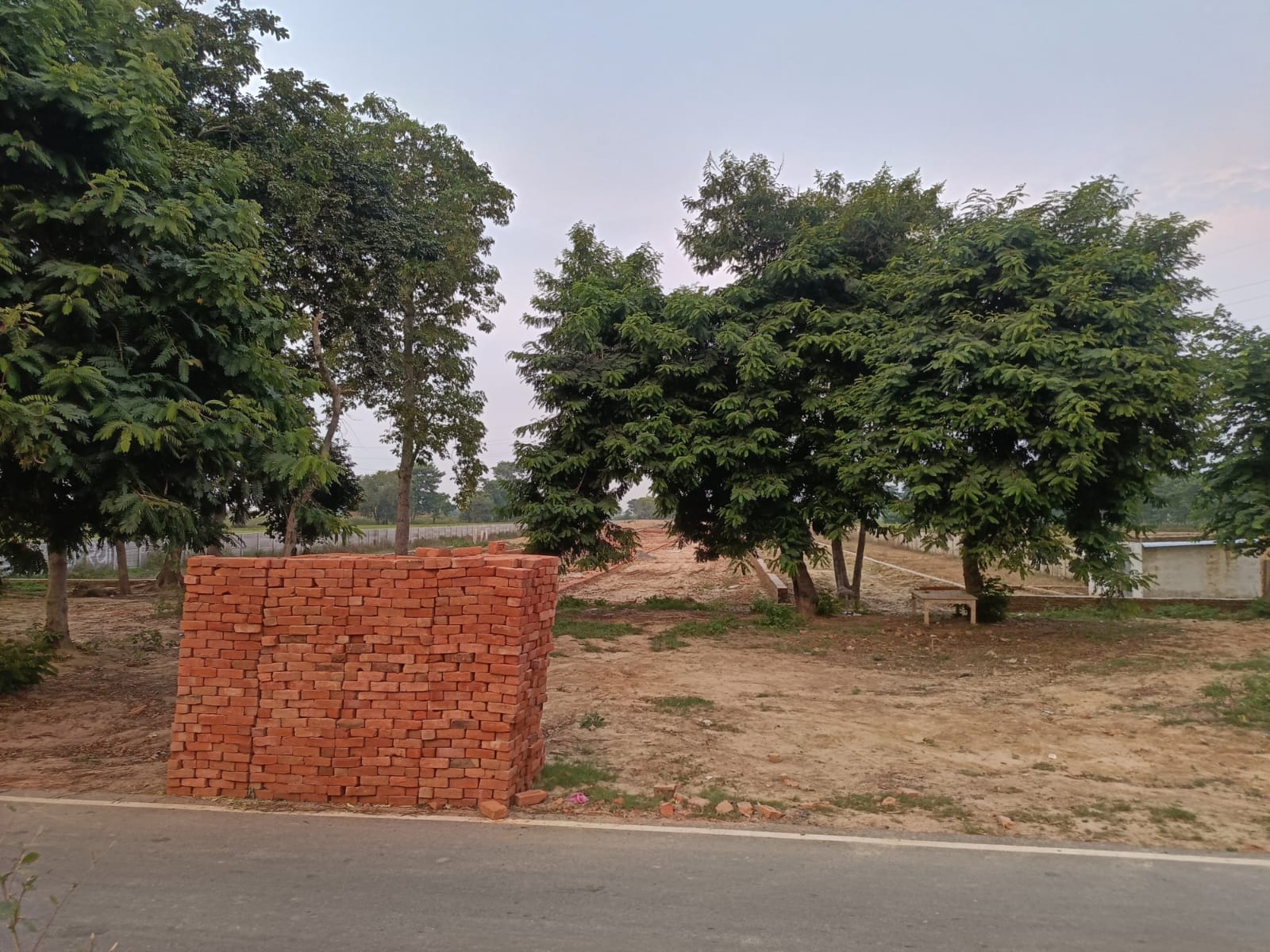 KASGANJ  बेखौफ भूमाफिया: 15 बीघा ज़मीन पर काटी कॉलोनी, पेड़ काटकर वन विभाग की जमीन पर निकाला रास्ता