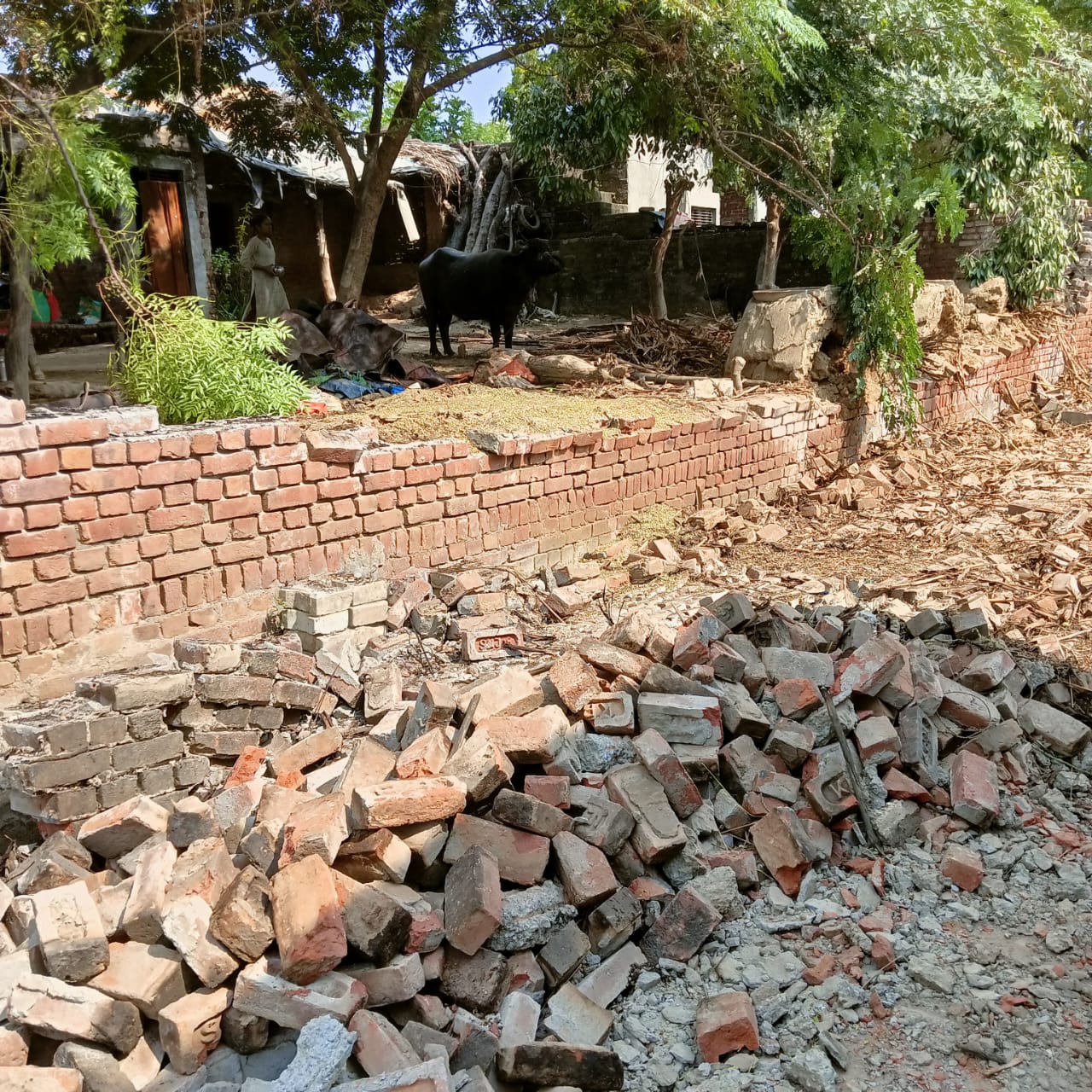 KASGANJ NEWSकलियानपुर में जर्जर मकान की दीवार गिरी, बड़ा हादसा टला