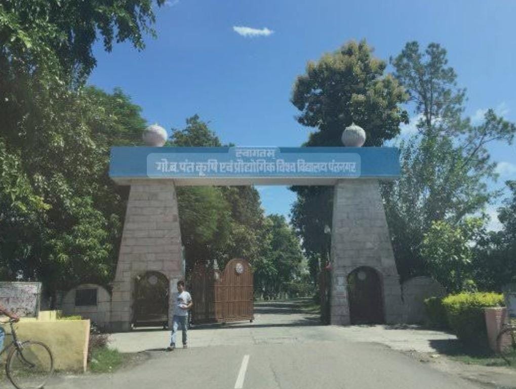 Big News-अब लैब में जन्म लेगा सफेद बाघ  रूस ने पंतनगर कृषि विवि से मांगी क्लोनिंग में तकनीकी मदद