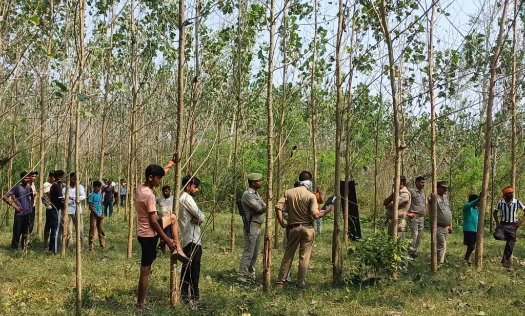 Bareilly News : मीरगंज  खादर इलाके  में  गन्ने के खेत में पेड़ से लटका मिला वृद्ध का शव, क्षेत्र में फैली दहशत