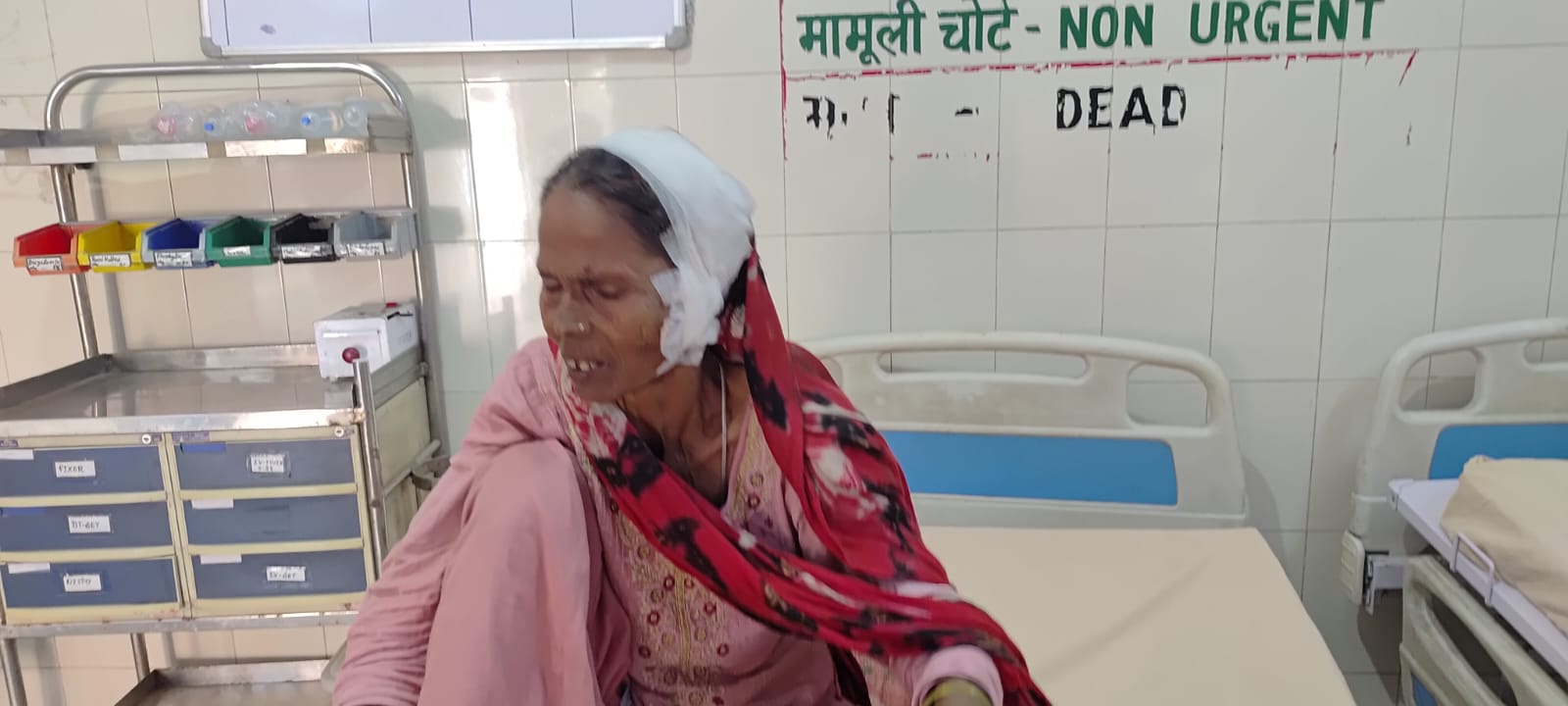 Bareilly News: मामूली विवाद में दबंग ने महिला का कान काटा, जिला अस्पताल में भर्ती