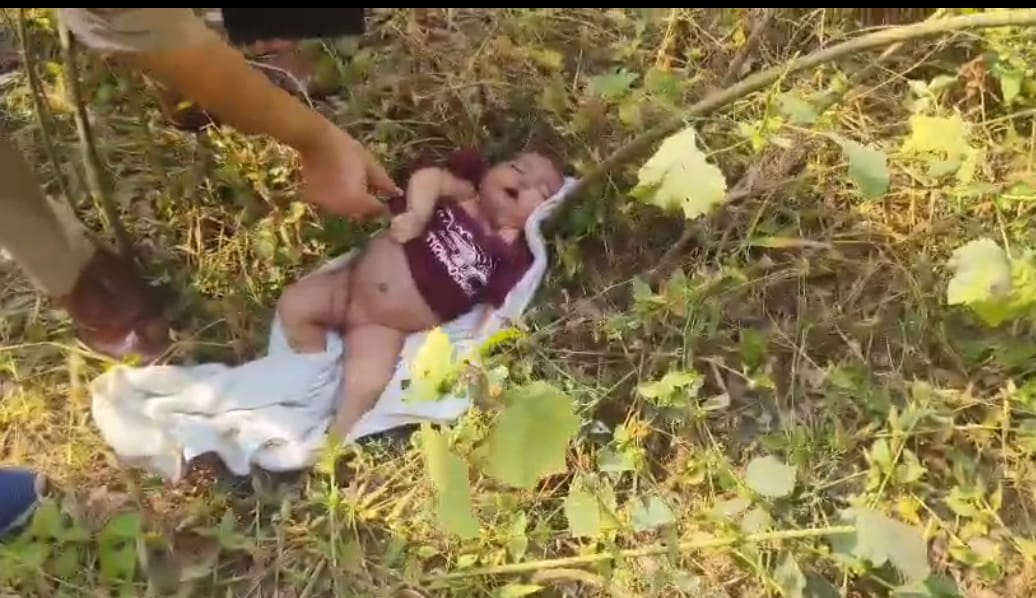 KASGANJ NEWS कासगंज में नारायणी पुल के नीचे झाड़ियों में मिली एक वर्षीय बच्ची का शव — क्षेत्र में सनसनी, पुलिस कर रही शिनाख्त के प्रयास