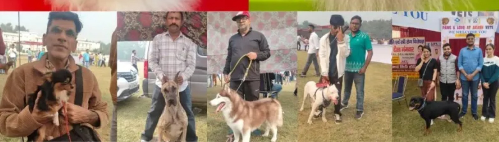 डॉग शो: कुत्तों की अदा पर हर कोई फिदा, 27 बार का विजेता ''रेड'' बना चैंपियन