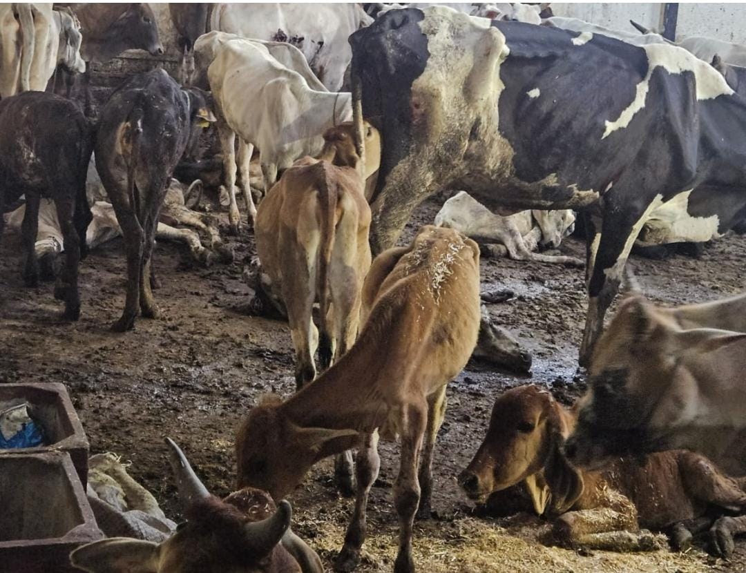 Bareilly News-सीवीओ का ट्रांसफर और वीओ के निलंबन की संस्तुति