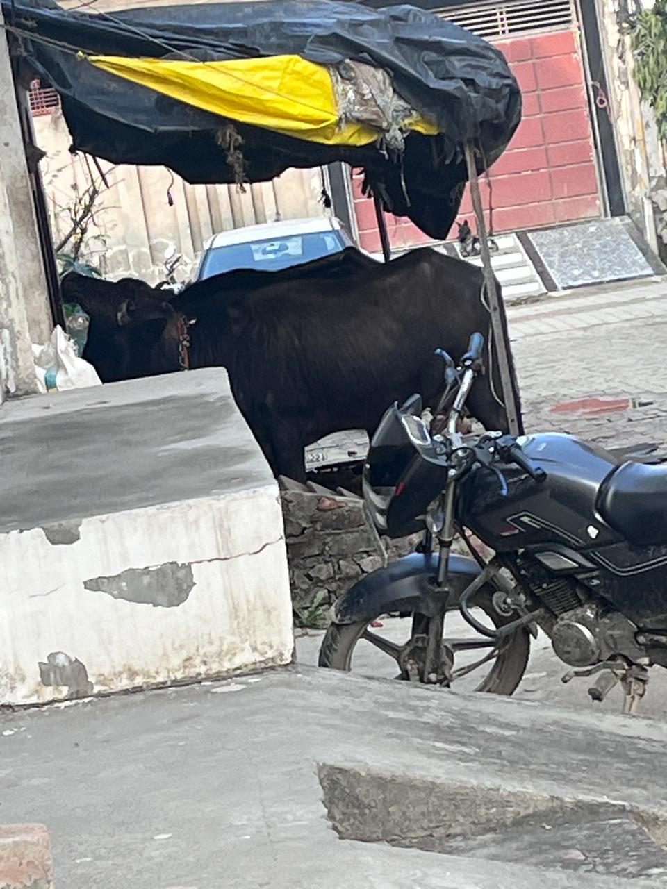 KASGANJ NEWS कासगंज नगर पालिका का एक और कथित फर्जी कारनामा, सीएम पोर्टल पर शिकायत का दिखाया गया कागजी समाधान