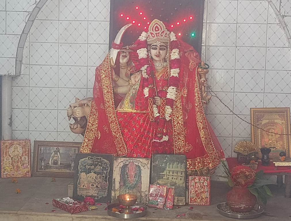 Bareilly news : नवरात्रि के प्रथम दिन मीरगंज में माँ शैलपुत्री की भक्ति की धूम, मंदिरों में उमड़ा आस्था का जनसैलाब