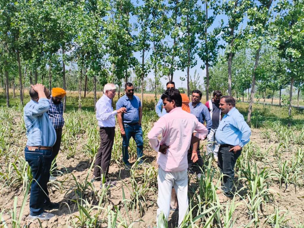 Bareilly News : गन्ना किसानों के बीच पहुंचे विशेषज्ञ, मीरगंज में फसल सुधार और उत्पादन बढ़ाने पर जोर