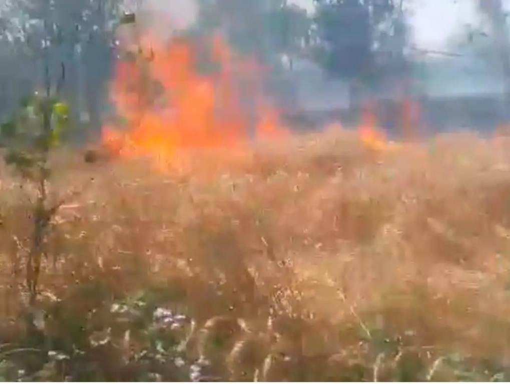 Bareilly News : गेहूं  की पकी फसल के खेत में लगी भीषण आग, तकरीबन पांच  एकड़ से अधिक  फसल जलकर हुई राख