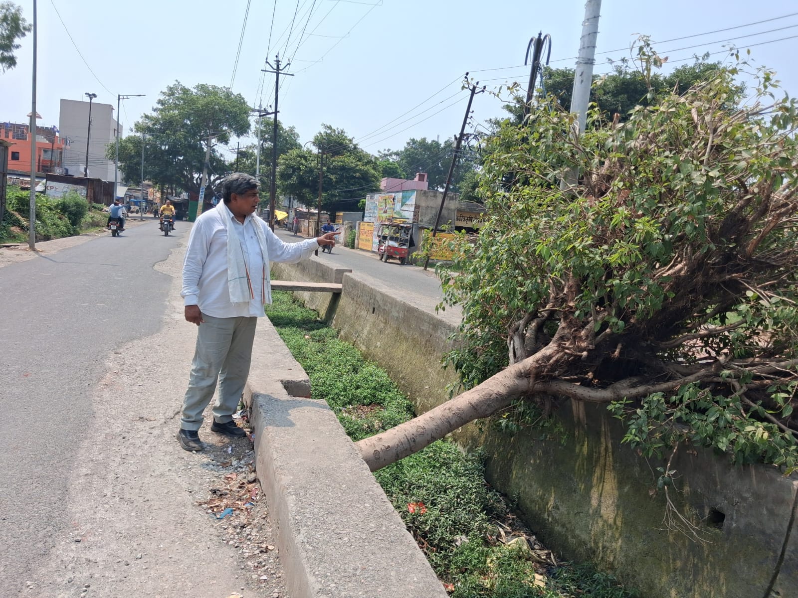 KASGANJ: 20 दिन से सड़क पर पड़ा है विशाल पेड़, प्रशासन बेखबर! सपा प्रवक्ता अब्दुल हफीज गांधी ने उठाया मुद्दा..... प्रशासन की खामोशी पर बोले-हादसे से पहले जागिए"