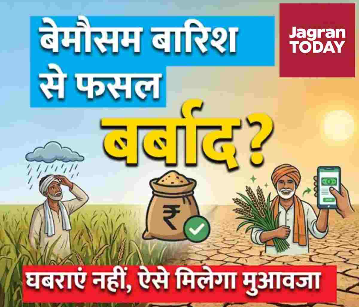Kasganj:बारिश ने बर्बाद की फसल तो न करें देरी, 72 घंटे में ऐसे दर्ज कराएं नुकसान... मिलेगी राहत