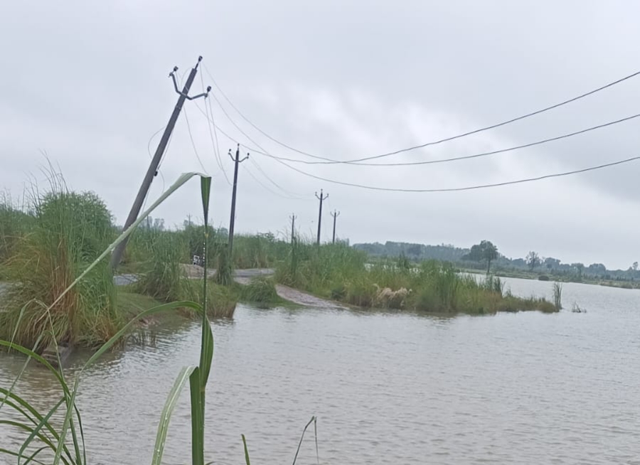 Kasganj: बाढ़ से मिली राहत पर बारिश ने फेरा पानी, जलस्तर वृद्धि से फिर डूबे गांवों के रास्ते, नाव चलाने की उठी मांग
